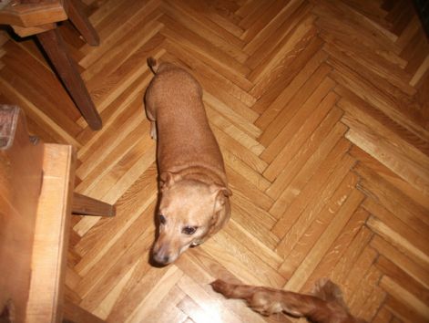 kep_449.jpg kep_449.jpg