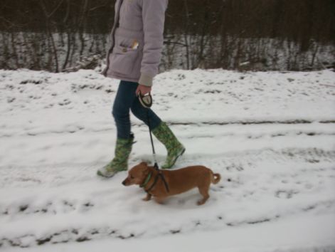 kep_453.jpg kep_453.jpg